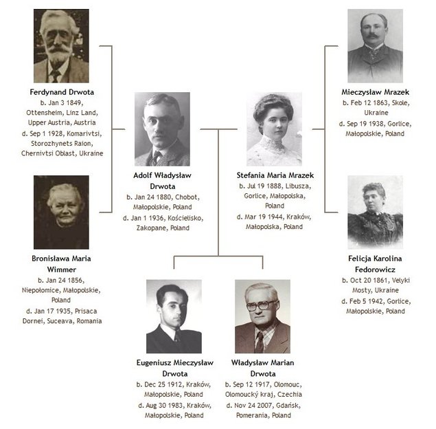 Family tree of Adolf Drwota and Stefania Mrazek.